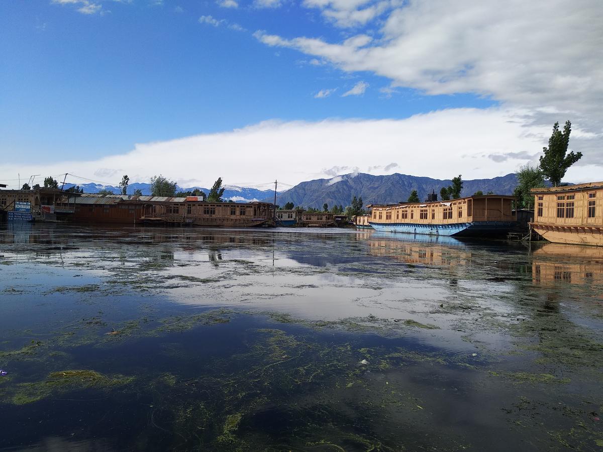 House Boat New Manora Bed & Breakfast Srinagar  Bagian luar foto